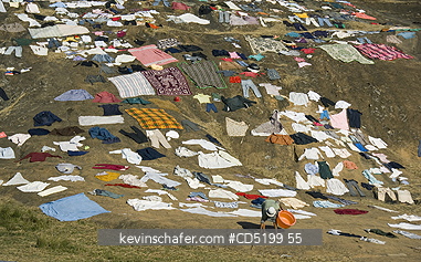 MADAGASCAR: Laundry Drying, near Antananarivo, Madagasacar