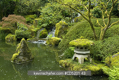 OREGON, USA: USA, Oregon, Portland, Japanese Garden in spring