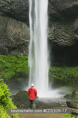 OREGON, WATERFALLS: Latourell Falls, Columbia River Gorge, Oregon USA  MAY
