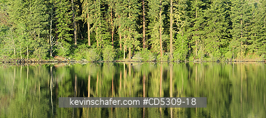 WASHINGTON, LAKES: Forest and lake at dawn, Methow Valley, Washington