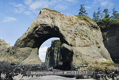 WASHINGTON, COAST: Natural Arch, Tunnel Island, Quinault Indian Reservation, Pacific Coast, Washington USA