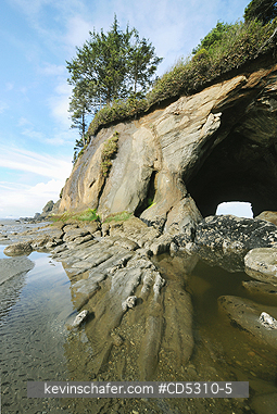 WASHINGTON, COAST: Tunnel Island, Quinault Indian Reservation, Pacific Coast, Washington USA - Cave passes through island