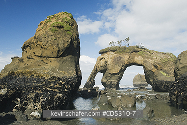 WASHINGTON, COAST: Elephant Island and Tunnel Island area, Pacific Coast, Quinault Indian Reservation, Olympic Peninsula, Washington - Elephant Rock, Tunnel Island, Pacific Coast, Quinault Indian Reservation, Olympic Peninsula, Washington - Note: Taken ca. 2010 - Elephant R