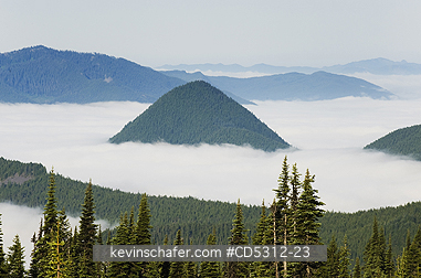 WASHINGTON, CASCADES: Fog in Nisqually River Valley, from Paradise, Mount Rainier National Park, Cascade Mountains, Washington USA  -  JULY