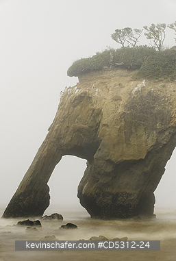 WASHINGTON, ELEPHANT ROCK: Elephant Island in fog, Pacific Coast, Quinault Indian Reservation, Olympic Peninsula, Washington - Elephant Rock, Tunnel Island, Pacific Coast, Quinault Indian Reservation, Olympic Peninsula, Washington - Note: Taken ca. 2010 - Elephant Rock Collapsed in