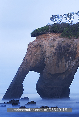 WASHINGTON, USA: Tunnel Island area, Pacific Coast, Quinault Indian Reservation, Olympic Peninsula, Washington - Note: Taken ca. 2010 - Collapsed in 2016 