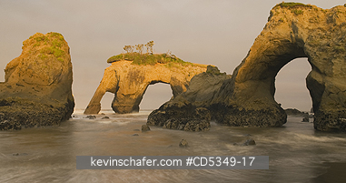 WASHINGTON, USA: Tunnel Island area, Pacific Coast, Quinault Indian Reservation, Olympic Peninsula, Washington - Note: Taken ca. 2010 - Collapsed in 2016 