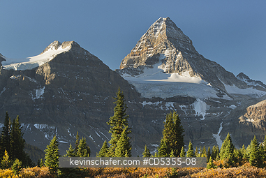 CANADA, BRITISH COLUMBIA: Tundra and Mt. Assiniboine, Mt. Assiniboine Provincial Park, British Columbia, Canada SEPTEMBER