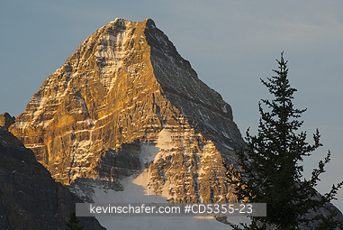 CANADA, BRITISH COLUMBIA: Sunrise on Mt. Assiniboine from Magog Lake, Mt. Assiniboine Provincial Park, British Columbia, Canada SEPTEMBER
