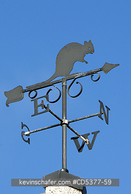 Quokka: Quokka on signpost/weather vane, Rottnest Island, Perth, Western Australia