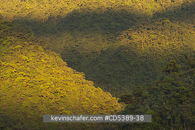 PERU, SCENIC: Rainforest Sunrise, Manu National Park, Cosnipata Valley, Southeast Peru