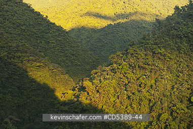 PERU, SCENIC: Rainforest sunrise in the Andes, Manu National Park,  Cosnipata Valley, Southeast Peru