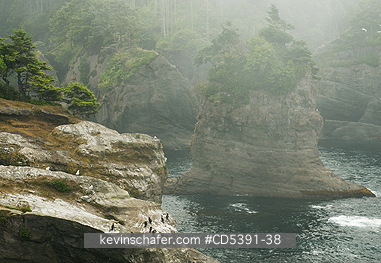WASHINGTON, SCENIC: Fog at Cape Flattery, NW tip of USA,  Olympic Peninsula, Washington