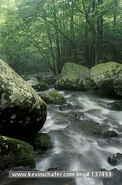 TENNESSEE: USA, Tennessee, Great Smoky Mountains National Park, Cosby Creek.