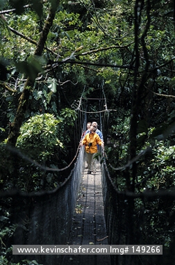COSTA RICA: Costa Rica, Monteverde Cloud Forest, Sky Walk canopy walkway.